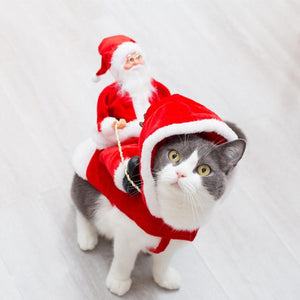 Costume de chien Vêtements de Noël pour animaux