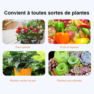 Granules insecticides pour plantes