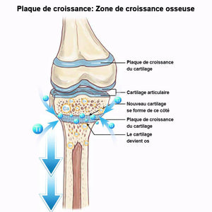 Chaussettes réhaussantes d'ions de titane Schorl infrarouge lointain