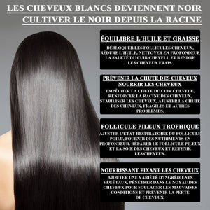 Sérum anti-gris de cheveux